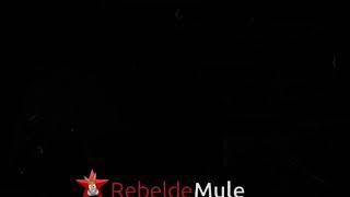 Rebeldemule.org