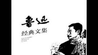 鲁迅经典文集—007从百草园到三味书屋