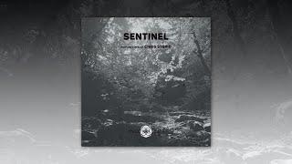 Sentinel [Another Life Music] compiled & mixed by Chris Sterio