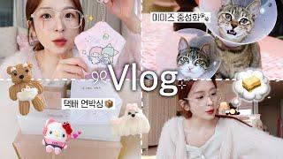 VLOG 쥔짜 별 거 없는 집순이 일상!𓂃⊹˚₊·