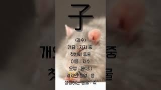 기초사주 풀이 지지 자수편 #사주 #보험 #상담 #타로 #문의 #사주팔자 #보험상담 #보험설계사 #사주풀이 #점사 #점집 #보험맛집 #자수 #천간 #유명한점집 #mbti