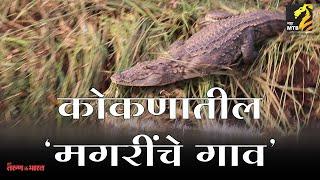 कोकणातील मगरींचे गाव | Crocodile safari in konkan | Mangroves Ecotourism |Crocodile | MahaMTB