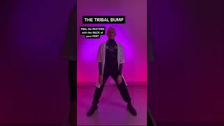 Techno Team with Techno Basics 6.0 and Tribal Bump PART 1