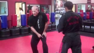 Steve Sexton doing a Hapkido Punch Defense