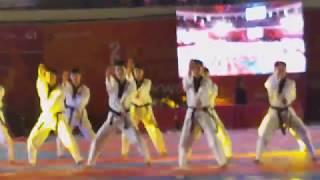 태권도 시범 공연(4) Taekwondo Demonstration Performance