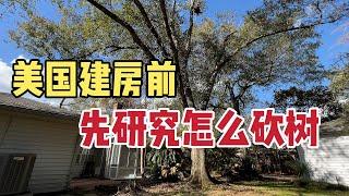 北美王小萌 Glad Life 美国人有多么注重小区绿化，盖豪宅之前必须研究砍树、种树要求！