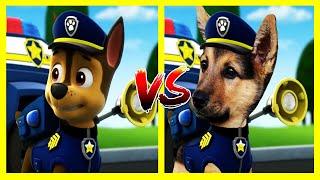 Paw Patrol Characters IN REAL LIFE 2024  ,paw Patrol EN LA VIDA REAL  @botobototv