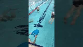 Открытые уроки в MEGASWIM #бассйен #sports #плавание #тренер #пловцы  #спорт