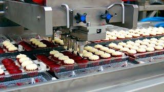 Automatic Cake Making Machines | AWESOME FOOD PROCESSING PLANT | W Machinery