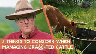 3 Things to Consider When Managing Grass-Fed Cattle | Joel Salatin