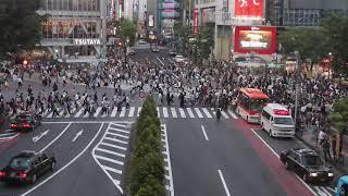 Tokyo Shibuya Kreuzung