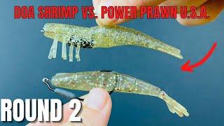 DOA Shrimp vs Power Prawn USA [Round 2]