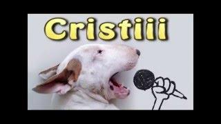 Maneaua lui CRISTI HIT 2016 Oficial