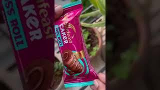 Sunfeast Caker Swiss Roll Rs 10| Product Review |  #shorts #ytshorts