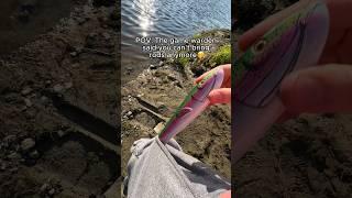 Going around the problem  #fishingrod