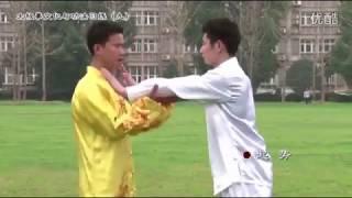 24式太極拳的技擊攻防實戰演示 ~ 易鹏 Tai Chi 24 form offensive and defensive in actual figting ~ Yi Peng