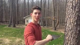 Wisconsin v Yoder Video - Moreland Project