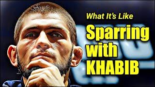 What It's Like Sparring With KHABIB NURMAGOMEDOV - MMA Fighters and Training Partners Speak