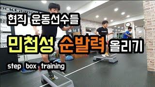 (4k)(현직 운동선수) 더빨라지기 위한 민첩성 순발력 트레이닝