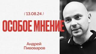 Курск | Украина | Возможен ли альянс ФБК и Каца? | Особое мнение / Андрей Пивоваров // 13.08.24