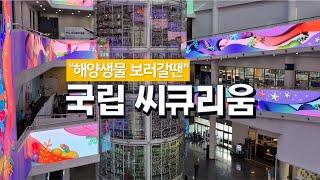 국립해양생물자원관 씨큐리움 리뷰 및 서천여행 1탄
