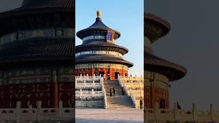 Red muffler #beijing #temple #천단공원 #북경 #2025 ##shorts #shortvideo #short