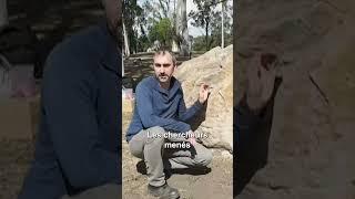 Des empreintes de dinosaures retrouvées dans une école
