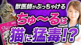 ちゅ〜るの真実。ちゅ〜るが美味しいヤバい理由を獣医師が解説！