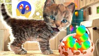 FUNNY CATS CUTE LITTLE KITTEN ADVENTURE -  CUTE ANIMATED KITTY FRIENDS #997