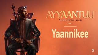 Andualem Gosa | Yaannikee (New Oromo Music 2024)