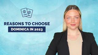 Citizenship Bay || Why should you choose Dominica citizenship in 2023?