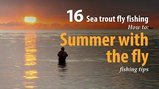 How to • Sea trout - Fly fishing • Summer with the fly • fishing tips