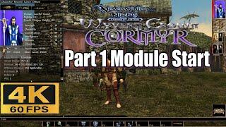 Neverwinter Nights Enhanced Edition Wyvern Crown of Cormyr Part 1 Module Start 4k 60fps