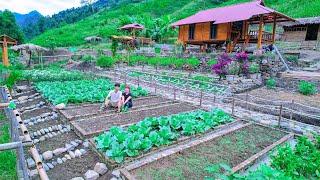 Celebrate Life Off The Grid! FLOODS, Harvesting Agricultural Products for sale | Sustainable Farm