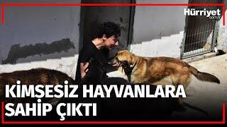 Ünlü Şarkıcının Ablası Çiftliğinde 165 Köpek ve 5 Kedi İle Yaşıyor!