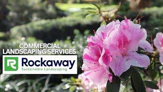 Northeast Florida's Premier Commercial Landscaping Company
