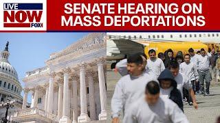 WATCH FULL: Senate Hearing on Trump Administration Mass Deportations