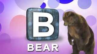 Learn ABC's - Real Animal Alphabet