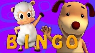 Bingo con chó | Bài hát vườn ươm | Vần điệu cho trẻ em | Rhyme Song For Kids | Bingo The Dog