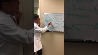 Diabetes in neuro-ophthalmology
