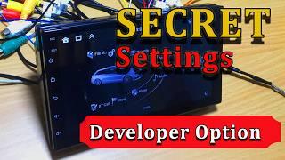 How to enable Car stereo Developer option