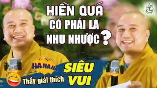 "Hiền Quá có phải là Nhu Nhược?" CƯỜI XỈU với Cách Giải Thích RẤT VUI của Thầy Pháp Hòa (Vấn Đáp)