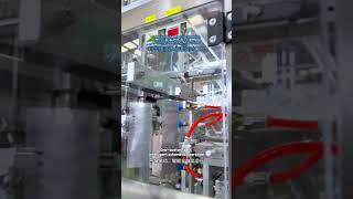 LevaPack Liuqid Pouch Filling Sealing Machine