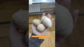 жизнь в Деревне в Сибири