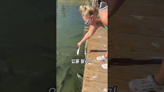 (끝까지 봐보세요) 갑자기 튀어나왔습니다