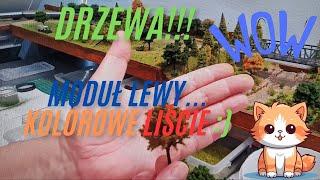 Moduły cz.27/1 + Drzewa + Moduł Lewy + WOW 