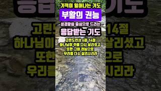 부활의 권능 | 기적이 일어나는 기도 | #말씀조은tv #조현상목사#목양교회 #성경암송 #큐티 #1분말씀묵상 #기도#기도문