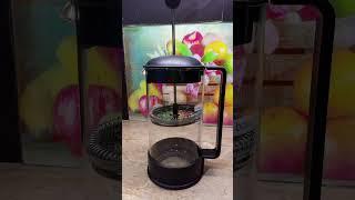 Brazil French Press Coffee Maker, High-Heat Borosilicate Glass, Black - Made in Portugal