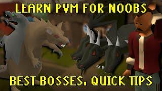 Start bossing in 2025 - A noobs guide to learning PVM