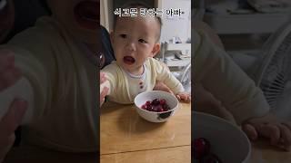 나오늘먹일거야말리지마 식고문당하는 엄빠..#체리먹방#식고문#먹방#17개월아기